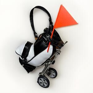 Mini Golf Bag Desk Caddy Black White Metal Cart Pen Holder with Red Flag